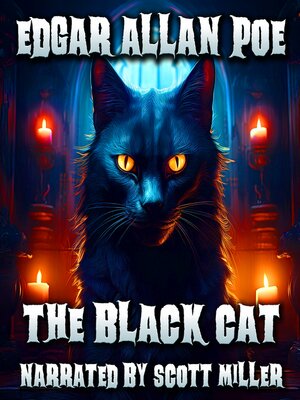 cover image of The Black Cat
